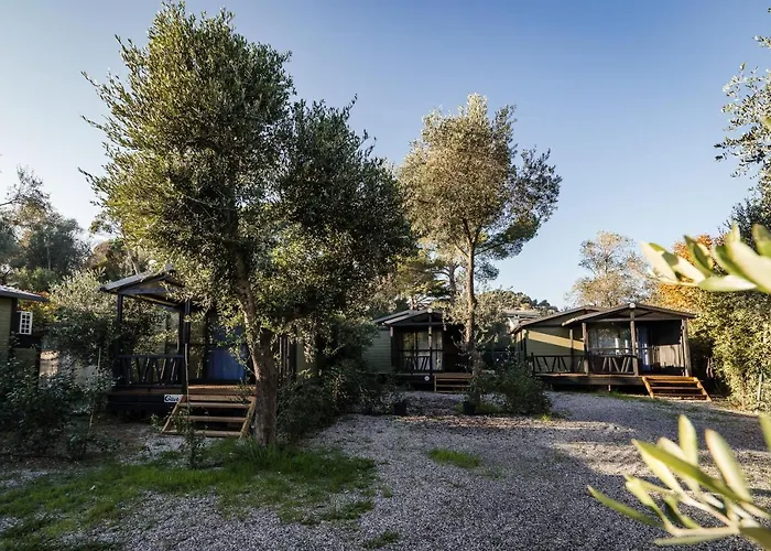 Oasi Camping